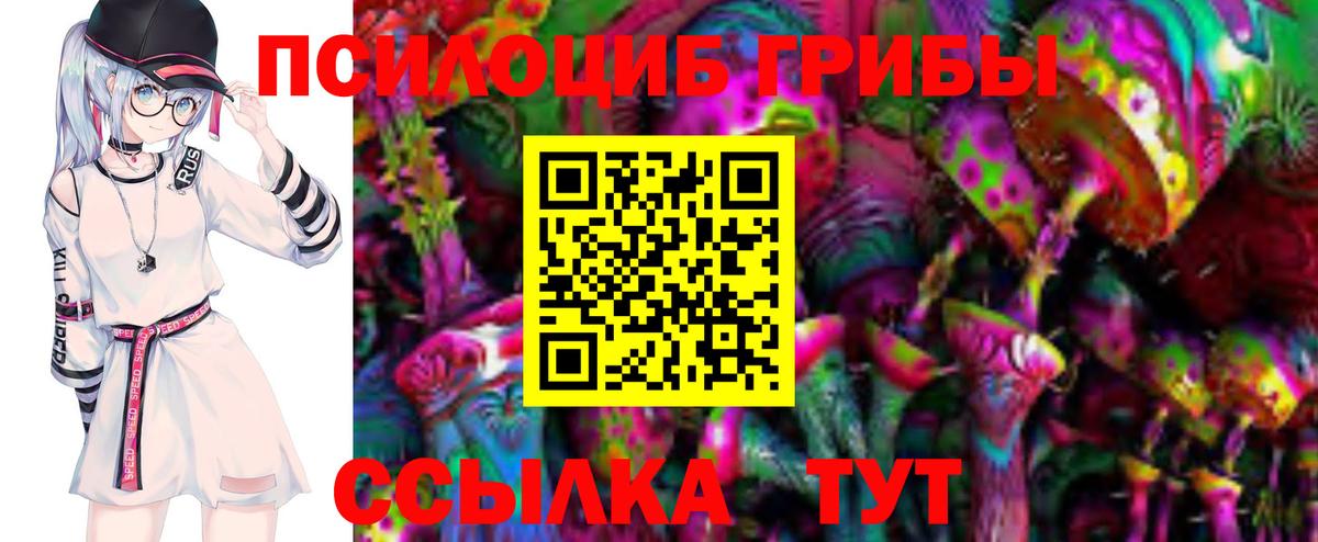 Пушкино  Псилоцибиновые грибы Psilocybe  Вход с VPN 